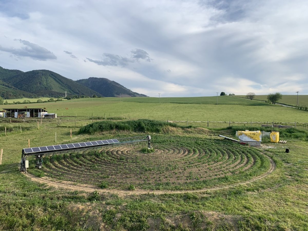 solar farm mount system